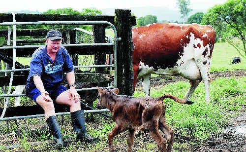 Tuncester dairy farmer Paul Weir and the Australian Farmers’ Federation has invited the director general of Dairy UK, Jim Begg (inset) to speak at numerous meetings in Australia. Tuncester dairy farmer Paul Weir and the Australian Farmers’ Federation has invited the director general of Dairy UK, Jim Begg (inset) to speak at numerous meetings in Australia.